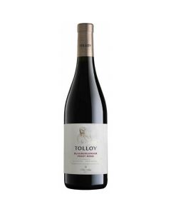 TOLLOY PINOT NERO ALTO ADIGE